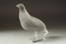 A FROSTED GLASS LALIQUE PARTRIDGE. Signed, Lalique France. 6.5ins high.