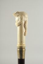 A CARVED BONE HANDLE WALKING STICK "TOAD". 2ft 11ins long.