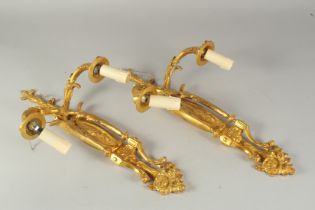 A GOOD PAIR OF GILT BRONZE TWO BRANCH WALL SCONCES. 1ft 8ins high.