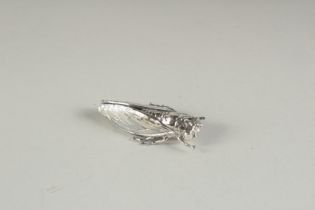 A SILVER LOCUST BROOCH.