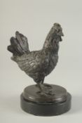 A BRONZE MODEL OF A CHICKEN on a circular marble base. 7.5ins high.