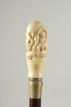 A CARVED BONE HANDLE WALKING STICK "RAT". 2ft 11Ins long.