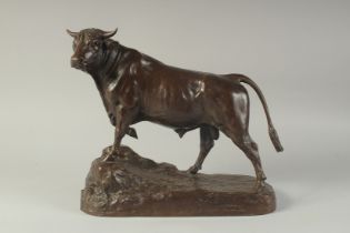 ISADORE BONHEUR (1827 - 1905) FRENCH A GOOD BRONZE FIGURE OF A BULL in majestic pose. Signed: I