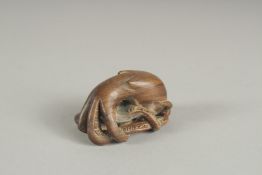 A HARDWOOD OCTOPUS NETSUKE.