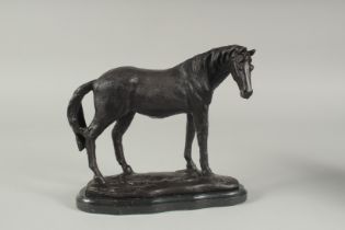 A BRONZE STANDING HORSE on a marble base. 9ins high.