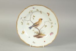 A MEISSEN CIRCULAR PORCELAIN PLATE painted with a bird. Cross sword mark in blue. 9ins high.