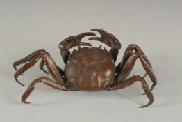A LARGE BRONZE CRAB. 5.5ins