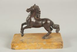FRENCH SCHOOL (CIRCA. 1860) A SMALL BRONZE HORSE. 8cm high on a yellow marble base.