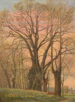 English School, Circa 1924, a spring landscape at dusk with silhouettes of trees and daffodils and a