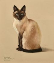 Phylis Binet, 'Snooky', a study of a Siamese Cat, pastel, signed with initials, inscribed and dated,
