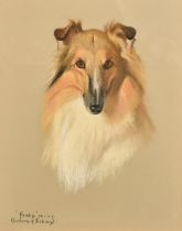 Phylis Binet, a pedigree Collie, 'Frisky', pastel, signed with initials, inscribed and dated, 18"