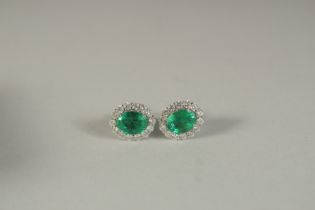 A PAIR OF 18CT WHITE GOLD. DIAMOND AND EMERALD EAR STUDS.