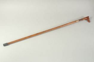 A GOOD 18TH CENTURY WOODEN CASED SWORD STICK with carved dog handle. 3ft long.