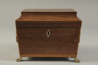 A REGENCY ROSEWOOD TWO DIVISION TEA CADDY with lion ring handles on claw feet. 7.5ins high.