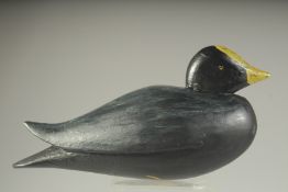 A PAINTED WOODEN DECOY DUCK. 10ins high.
