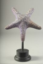 A LARGE STAR FISH on a wooden base. 8ins high.
