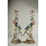 A LARGE PAIR OF SEVRES DESIGN PORCELAIN AND METAL PARROT CANDLESTICKS. 21ins high.