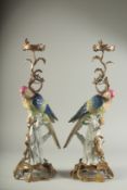 A LARGE PAIR OF SEVRES DESIGN PORCELAIN AND METAL PARROT CANDLESTICKS. 21ins high.
