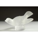 A LALIQUE GLASS BIRD. Etched Lalique France. 5.25ins high.