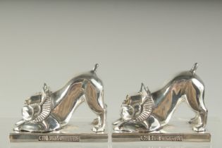 A PAIR OF SILVER PLATE FRENCH BULLDOG SALT AND PEPPERS. 6cms high.