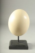 A SPECIMEN OSTRICH EGG on a wooden base. 6ins high.