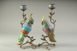 A PAIR OF SEVRES DESIGN PORCELAIN AND METAL PARROT CANDLESTICKS. 12ins high.