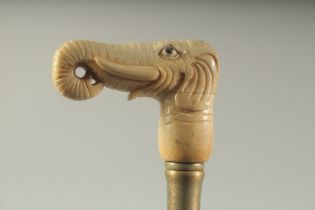 A WALKING STICK WITH CARVED BONE HANDLE "ELEPHANT".