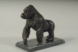 A BRONZE GORILLA in a marble base. 6ins long.