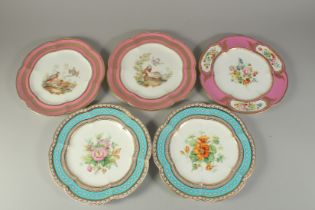 A PAIR OF PLATES painted with birds and three painted with flowers (3).