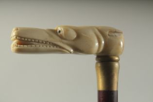 A WALKING STICK WITH CARVED BONE HANDLE "ALLIGATOR".