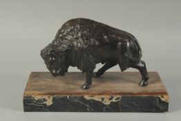 A VERY GOOD LATE 18TH CENTURY FRENCH BRONZE OF A BISON standing head down, on a marble base. 10.5ins