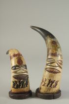 TWO ETHNIC CARVED AND PAINTED HORNS.