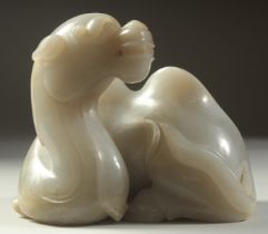 A VERY FINE AND LARGE CHINESE CARVED JADE SEATED CAMEL, base 14cm x 10cm, 12cm high.