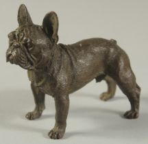 A BRONZE OKIMONO OF A DOG, 7.5cm long.