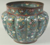 A JAPANESE BLUE GROUND CLOISONNE POT, with lobed body and decorated with birds, butterflies, and