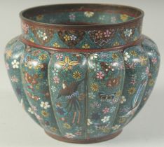 A JAPANESE BLUE GROUND CLOISONNE POT, with lobed body and decorated with birds, butterflies, and