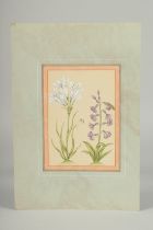 A FINE PERSIAN QAJAR PAINTING OF FLOWERS, image 18cm x 12.5cm.