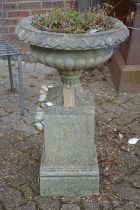 A reconstituted stone pedestal planter on square shaped base.