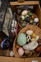 A collection of decorative eggs and other items.
