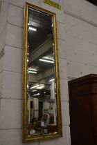 A gilt framed narrow wall mirror.