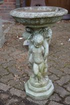 A composite bird bath with cherub support.