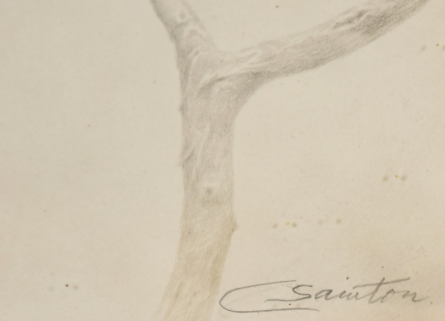 Charles Prosper Sainton (1861-1914), an angel on a branch, silverpoint drawing, signed in pencil, - Image 3 of 4