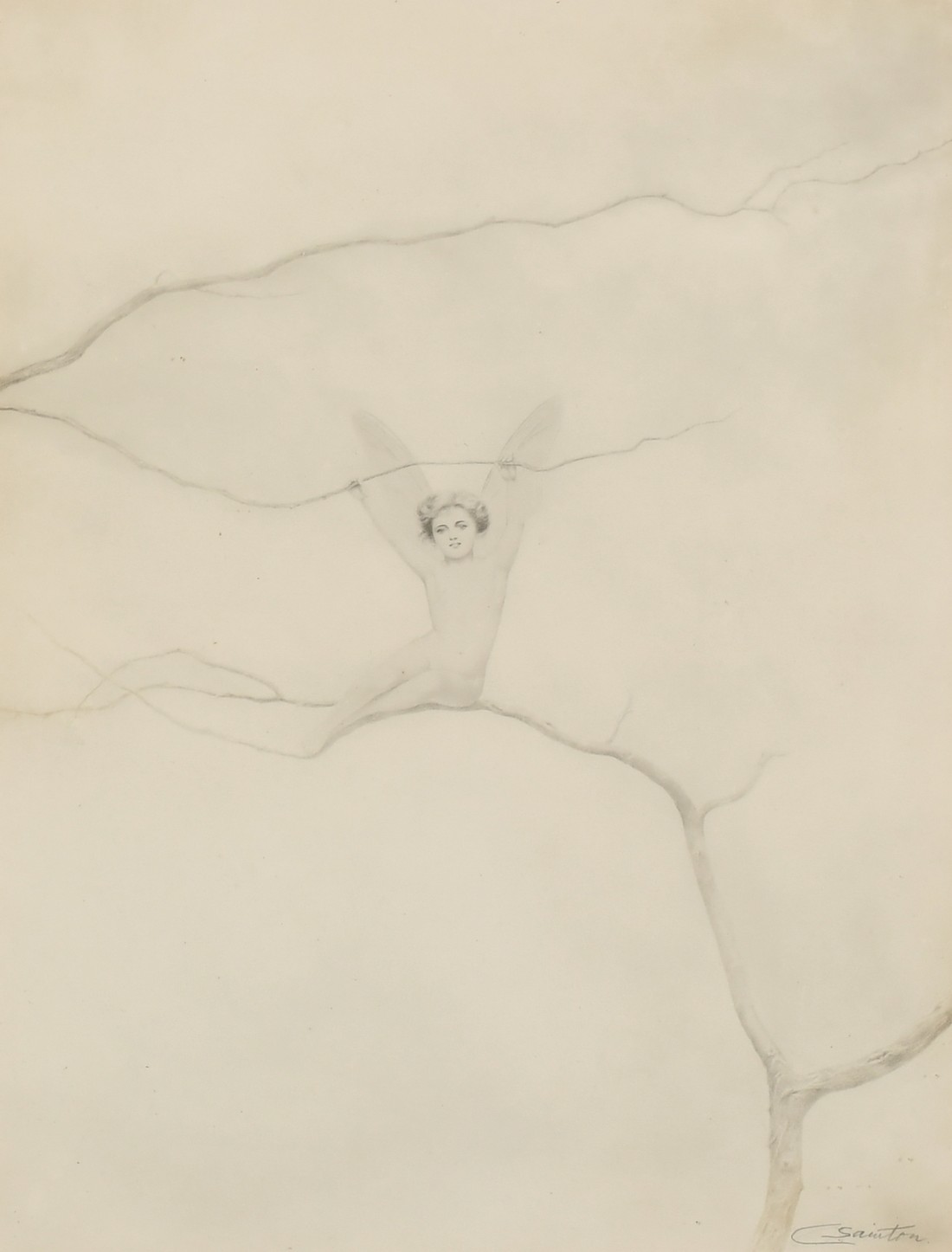 Charles Prosper Sainton (1861-1914), an angel on a branch, silverpoint drawing, signed in pencil,