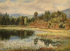Gertrude Martineau (1837-1924), a Pre-Raphaelite study of a pond at Aviemore, signed and dated 1883,