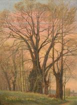 English School, Circa 1924, a spring landscape at dusk with silhouettes of trees and daffodils and a