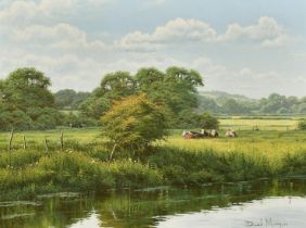 David Morgan, Cattle resting in a riverside meadow, oil on canvas, signed, 12" x 16" (30 x 40cm).