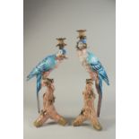 A PAIR OF LIGHT BLUE PARROT CANDLESTICKS on rustic bases. 20ins high.