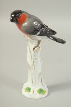 A MEISSEN BULLFINCH PERCHED ON A TREE STUMP first modelled by Joachim Kaendler Circa. 1880. 20.3cm