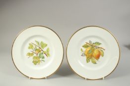 A PAIR OF MINTON PLATES, painted with fruit by Colclough, signed, Crown, Globe, England mark in