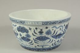 A LARGE CHINESE BLUE AND WHITE PORCELAIN BOWL, decorated with fish and aquatic flora. 26.5cms
